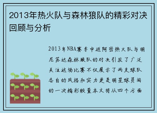 2013年热火队与森林狼队的精彩对决回顾与分析